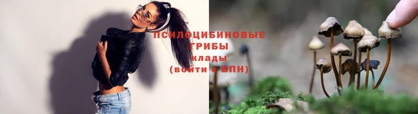 герыч Дмитровск