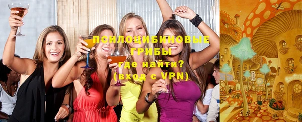 mdpv Дмитриев