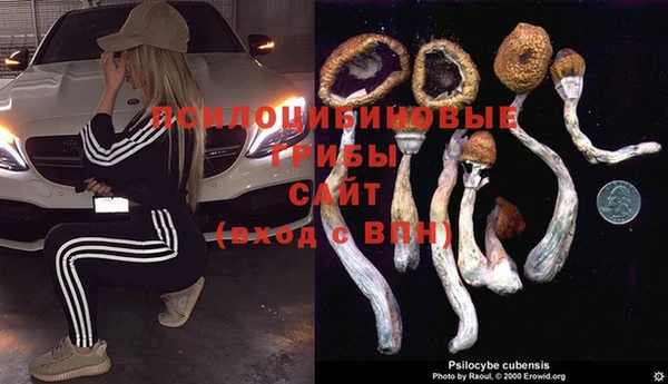 герыч Дмитровск