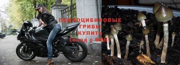 герыч Дмитровск