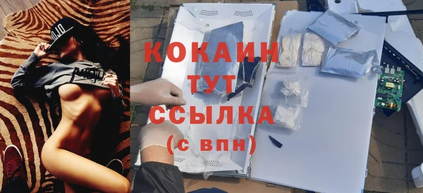 mdpv Дмитриев