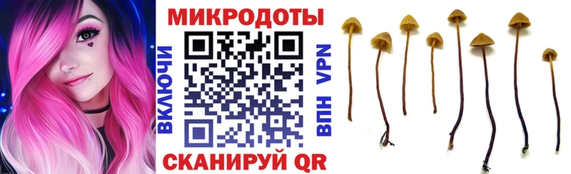 Псилоцибиновые грибы мицелий  Заозёрск 